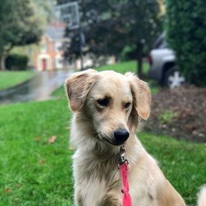 Meet your Posher, Jack